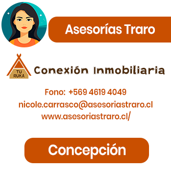 Asesorías Traro SPA